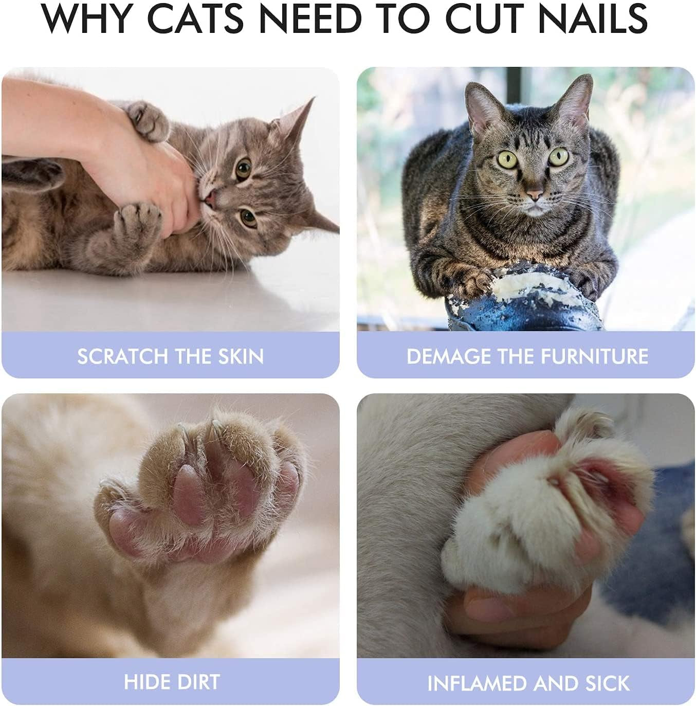 PawTrim Professional Pet Nail Clippers